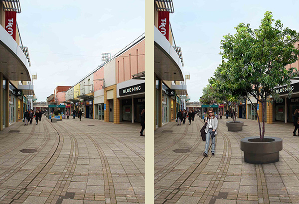 Ideas for streetscape enhancement and tree planting – King’s Lynn 